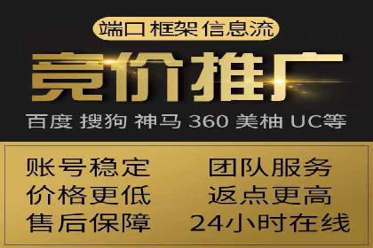 某电商平台的SEM推广实战经验